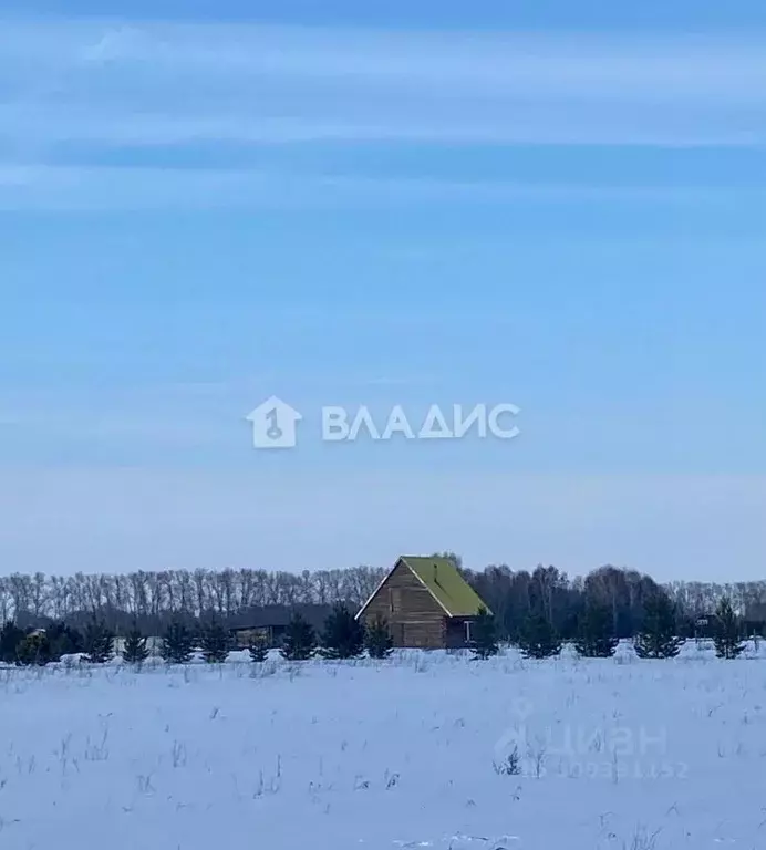 Участок в Новосибирская область, Ордынский район, Благодатное-2 ДНТ ... - Фото 1