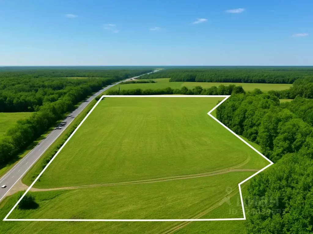 Участок в Калужская область, Бабынинский муниципальный округ, ... - Фото 1