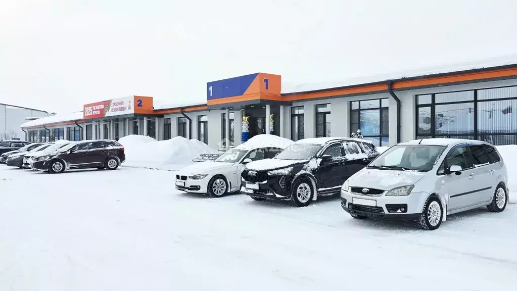 Помещение свободного назначения в Московская область, Раменский ... - Фото 1