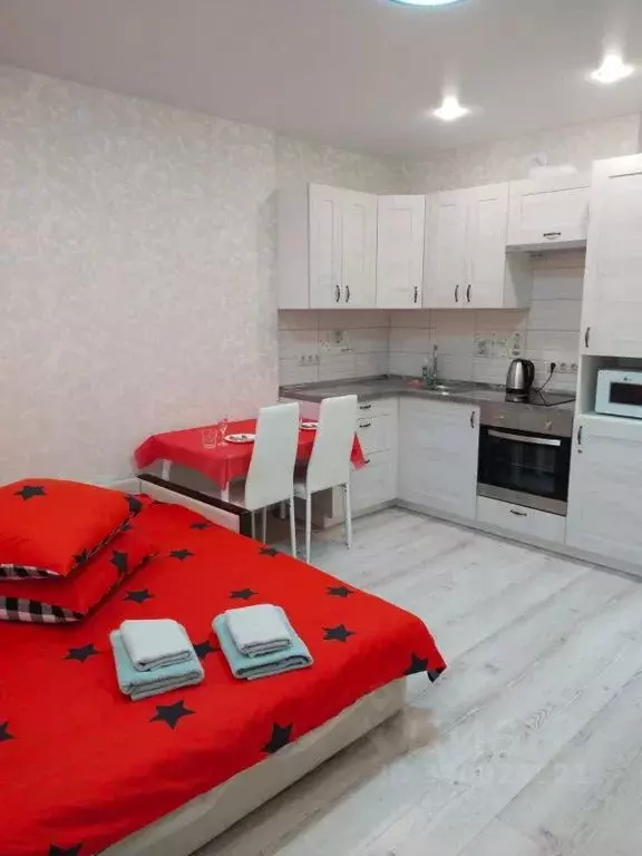 Студия Московская область, Реутов Носовихинское ш., 25 (33.0 м) - Фото 1