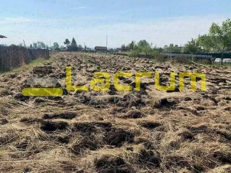 Участок в Красноярский край, Манско-Уярский округ, пос. Камарчага ул. ... - Фото 1