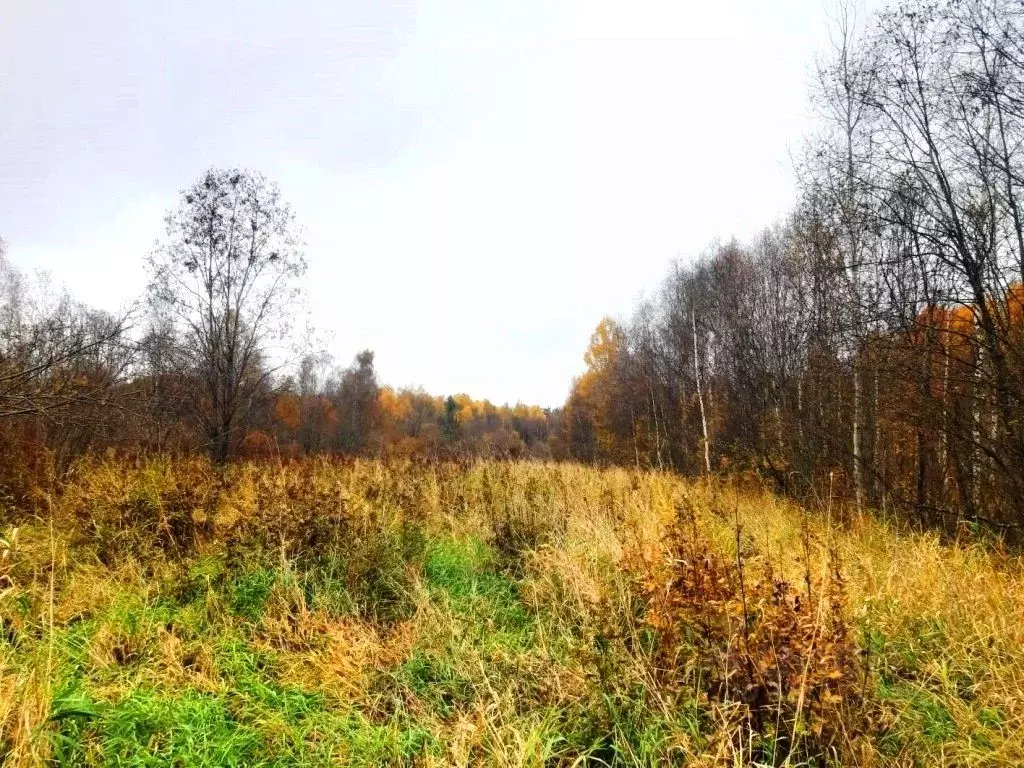 Участок в Ленинградская область, Приозерский район, Ромашкинское ... - Фото 0