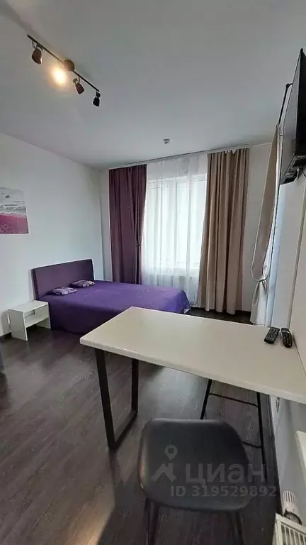 Студия Санкт-Петербург аллея Арцеуловская, 17 (25.0 м) - Фото 1