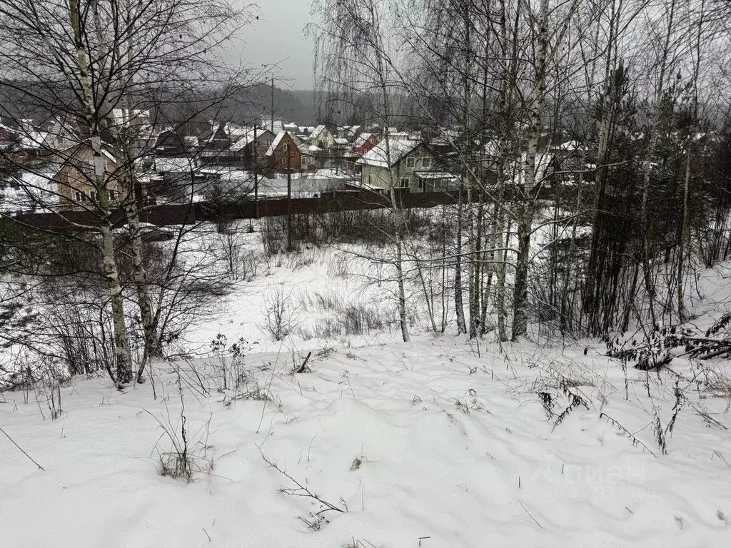 Участок в Московская область, Пушкинский городской округ, д. Лепешки  ... - Фото 0