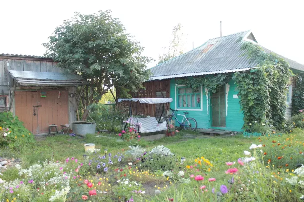 Дом в Алтайский край, Баевский район, с. Баево  (80 м) - Фото 2