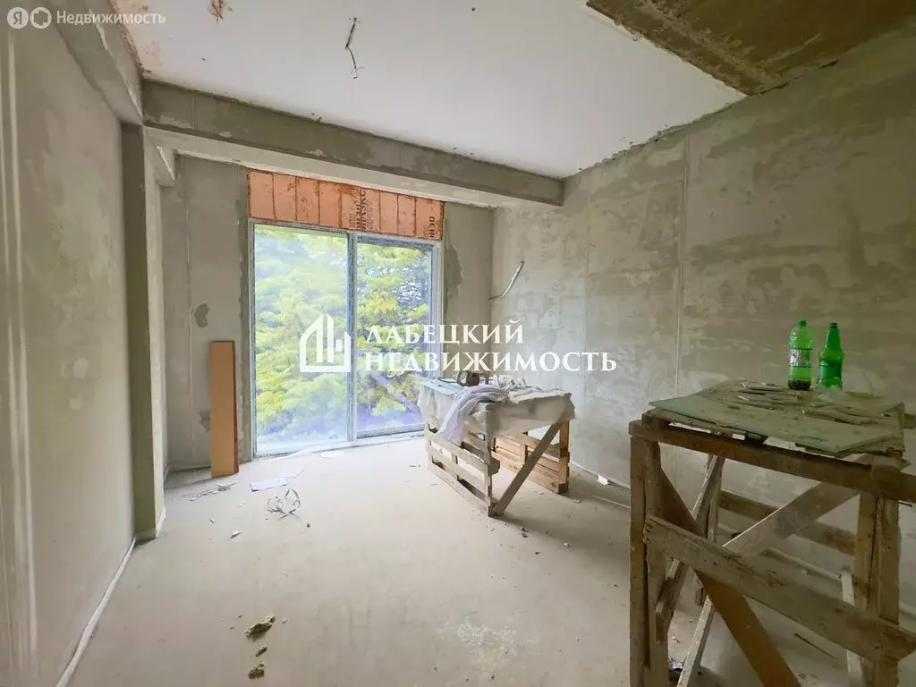 Квартира-студия: Сочи, улица Ленина, 219 (25 м) - Фото 1