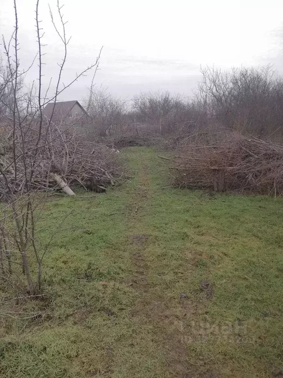 Участок в Ростовская область, Таганрог Дачное-3 садовое товарищество,  ... - Фото 2