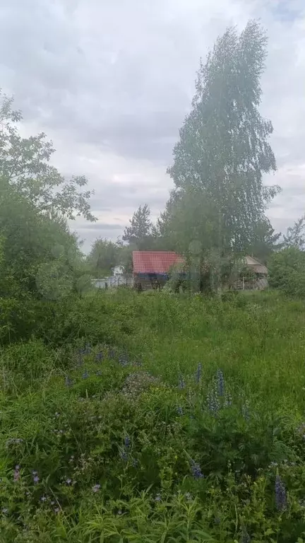 Дача 35 м на участке 10 сот. - Фото 1