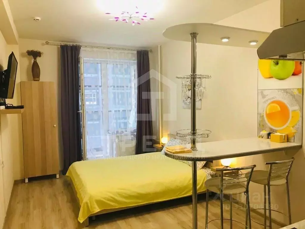 Студия Санкт-Петербург Пулковское ш., 14Е (24.0 м) - Фото 2