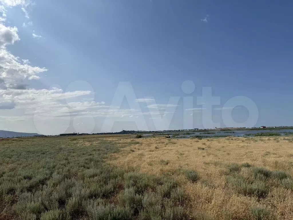 Участок 4 сот. (СНТ, ДНП) - Фото 1