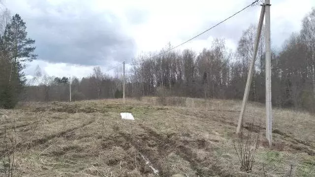 Участок в Новгородская область, Валдайский район, Яжелбицкое с/пос, д. ... - Фото 0