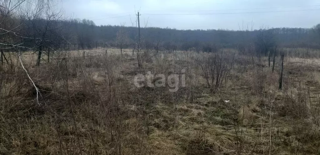 Участок в Воронежская область, Новоусманский район, с. Бабяково ... - Фото 1