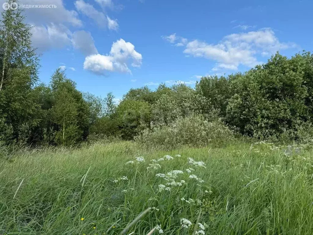 Участок в Красавино, Железнодорожная улица (10 м) - Фото 1