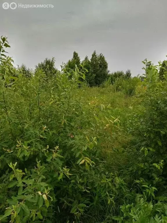 Участок в Аннинское городское поселение, коттеджный посёлок Аннинские ... - Фото 1