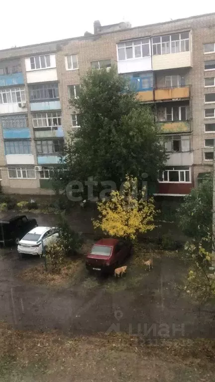 1-к кв. Ростовская область, Красный Сулин ул. Мира, 15 (29.7 м) - Фото 1