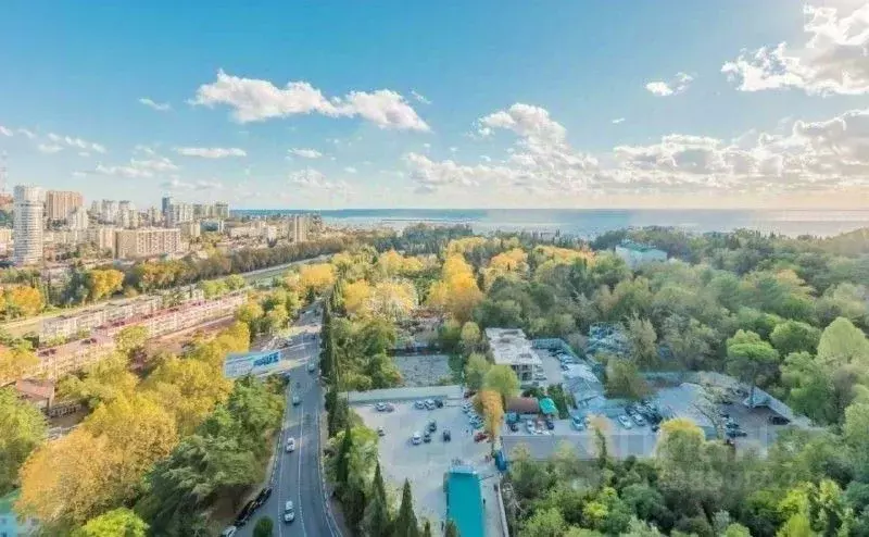 3-к кв. Краснодарский край, Сочи Виноградная ул., 2/3к1 (125.0 м) - Фото 1