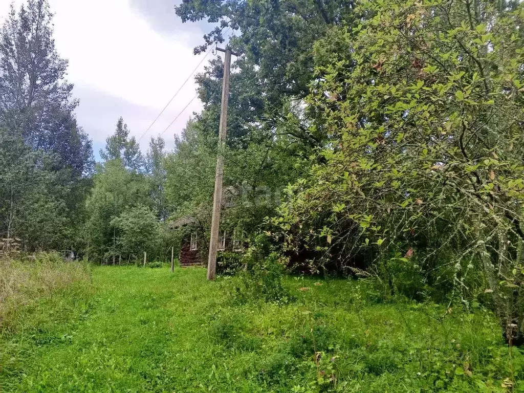 Участок в Псковская область, Пушкиногорский район, Велейская волость, ... - Фото 2