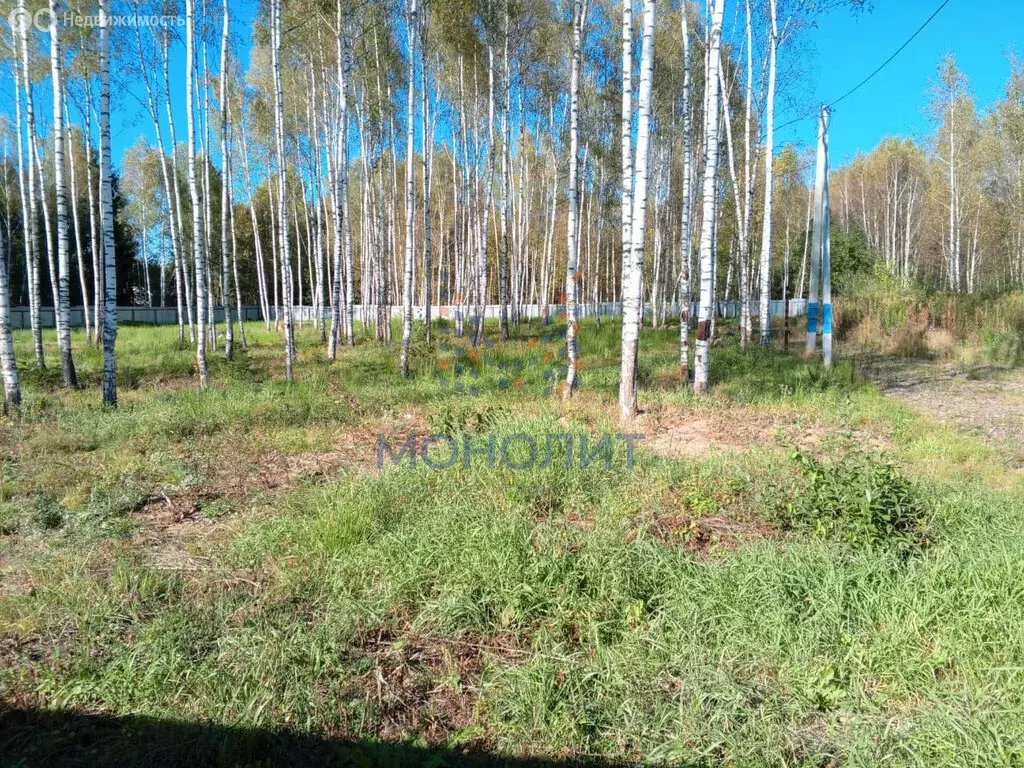 Участок в Московская область, городской округ Подольск, деревня ... - Фото 2