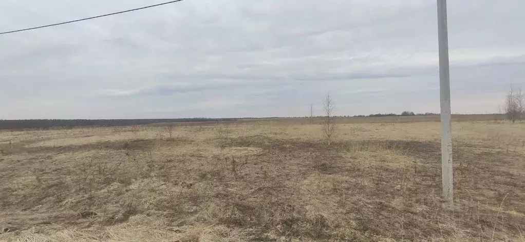 Участок в Московская область, Талдомский городской округ, д. ... - Фото 0