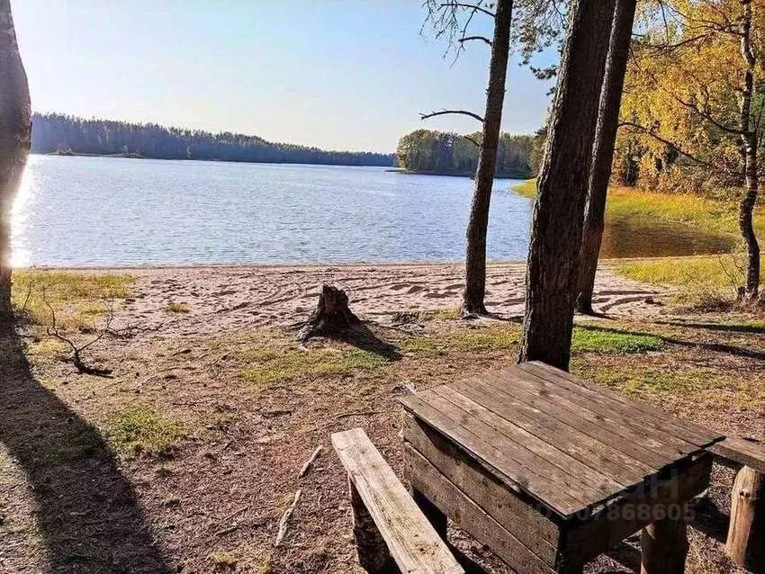 Участок в Новгородская область, Любытинское с/пос, д. Красная Гора  ... - Фото 0