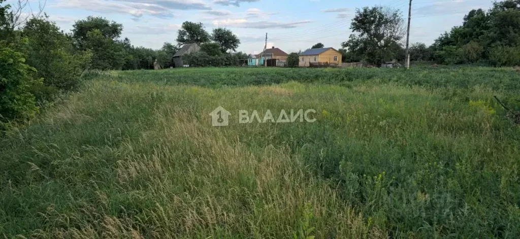 Участок в Тамбовская область, Тамбовский муниципальный округ, с. ... - Фото 1