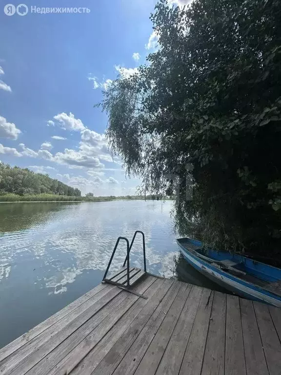 Дом в Илекский район, Студёновский сельсовет, посёлок Заживный, ... - Фото 2