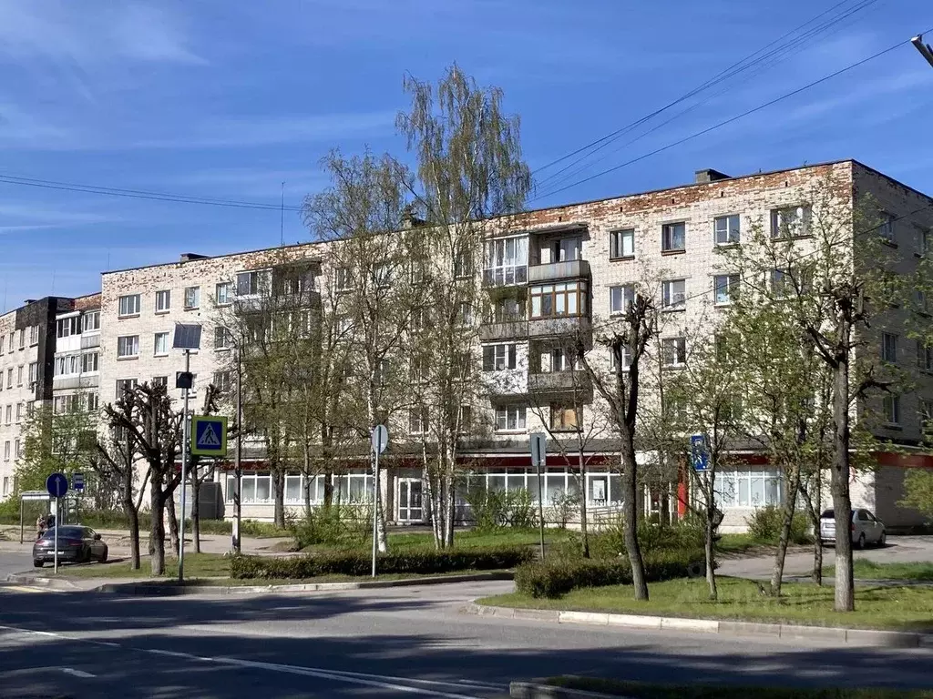 2-к кв. Ленинградская область, Сосновый Бор Ленинградская ул., 6 (42.8 ... - Фото 0