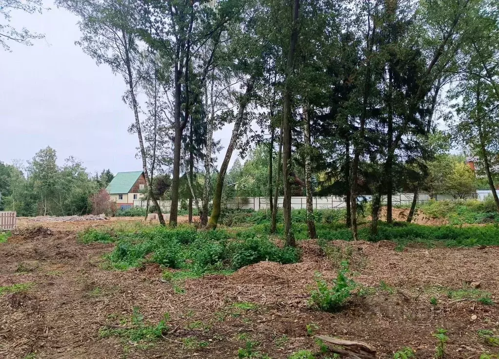 Участок в Москва № 177 кв-л,  (33.0 сот.) - Фото 2