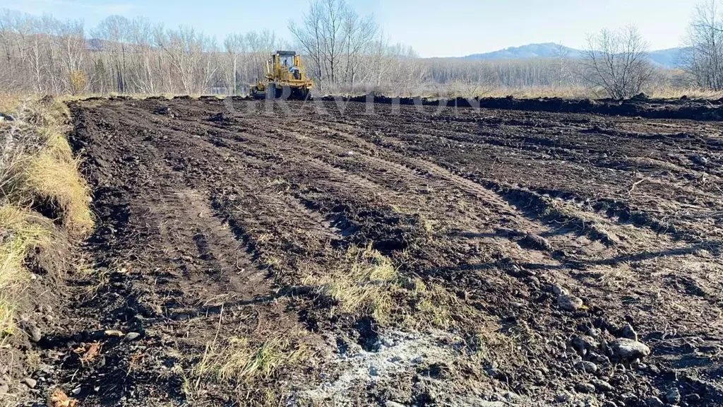 Участок в Алтай, Майминский район, с. Подгорное ул. Луговая, 3 (12.0 ... - Фото 1