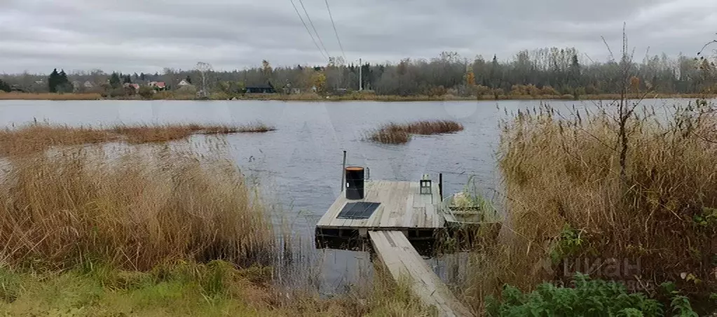 Дом в Ленинградская область, Кингисеппский район, Куземкинское с/пос, ... - Фото 2