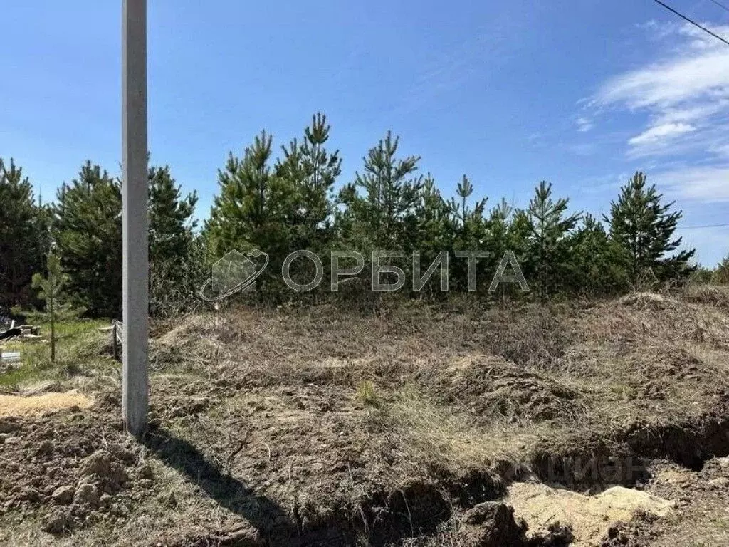 Участок в Тюменская область, Нижнетавдинский район, д. Московка  (25.0 ... - Фото 0