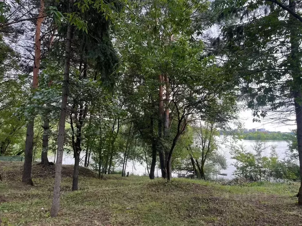 Участок в Московская область, Красногорск Береста кп, 18 (53.61 сот.) - Фото 1
