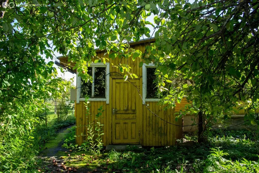 Участок в Пушкин, территория Новокондакопшино, 5 (13 м) - Фото 2