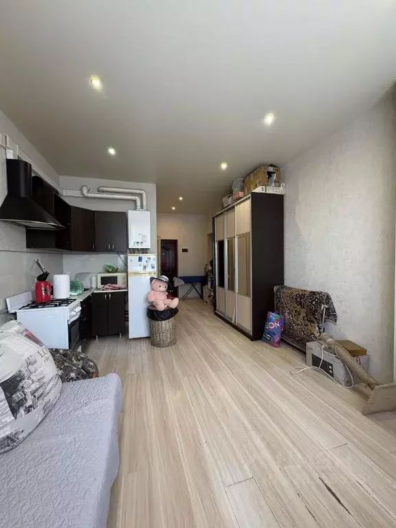 Студия Краснодарский край, Сочи ул. Тимирязева, 52/7 (27.4 м) - Фото 2