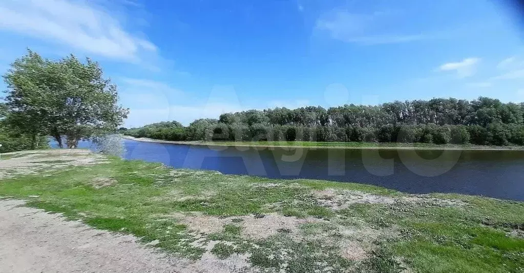 Участок 47 сот. (СНТ, ДНП) - Фото 1
