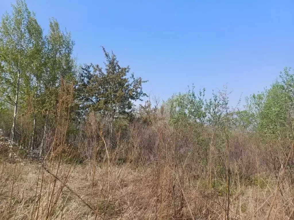 Участок в Приморский край, Надеждинский район, Оникс СНТ  (10.0 сот.) - Фото 0