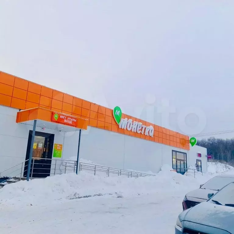 Помещение, 36.9 м с. Миловка - Фото 1
