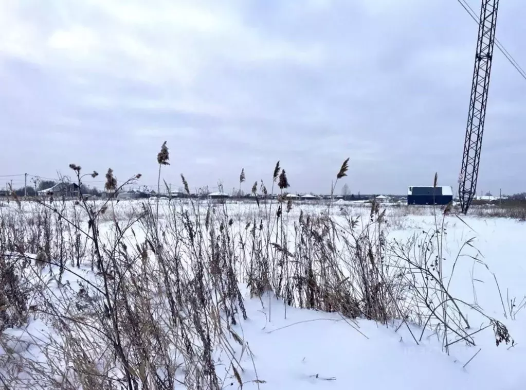 Участок в Тюменская область, Тюмень ул. Абалакская (33.0 сот.) - Фото 2