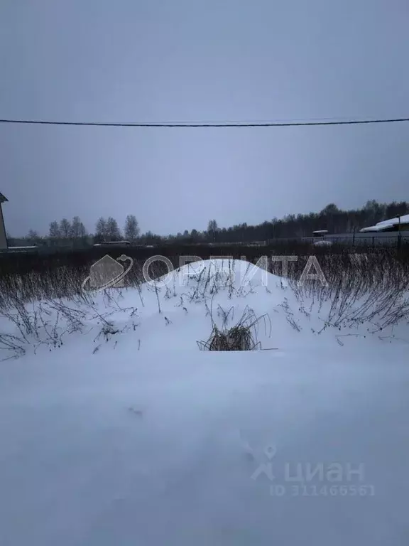 Участок в Тюменская область, Тюменский район, с. Червишево  (15.0 ... - Фото 0