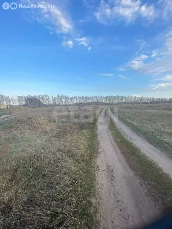 Участок в муниципальный округ Омский район, село Усть-Заостровка (14 ... - Фото 1