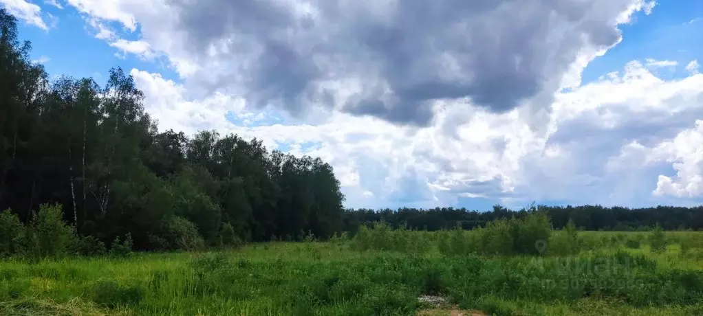 Участок в Московская область, Богородский городской округ, д. Пашуково ... - Фото 1