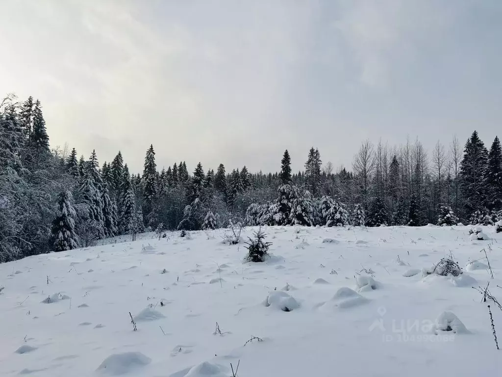 Участок в Новгородская область, Демянский муниципальный округ, д. ... - Фото 1