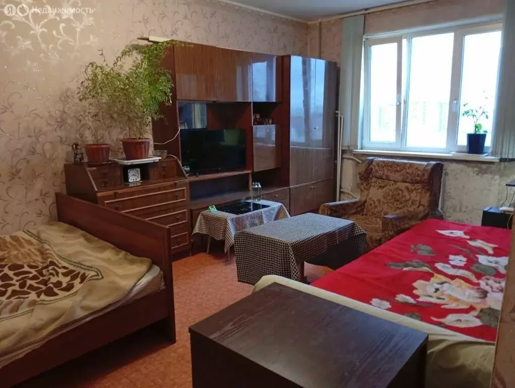 1-комнатная квартира: Санкт-Петербург, Камышовая улица, 6к1 (39.2 м) - Фото 1