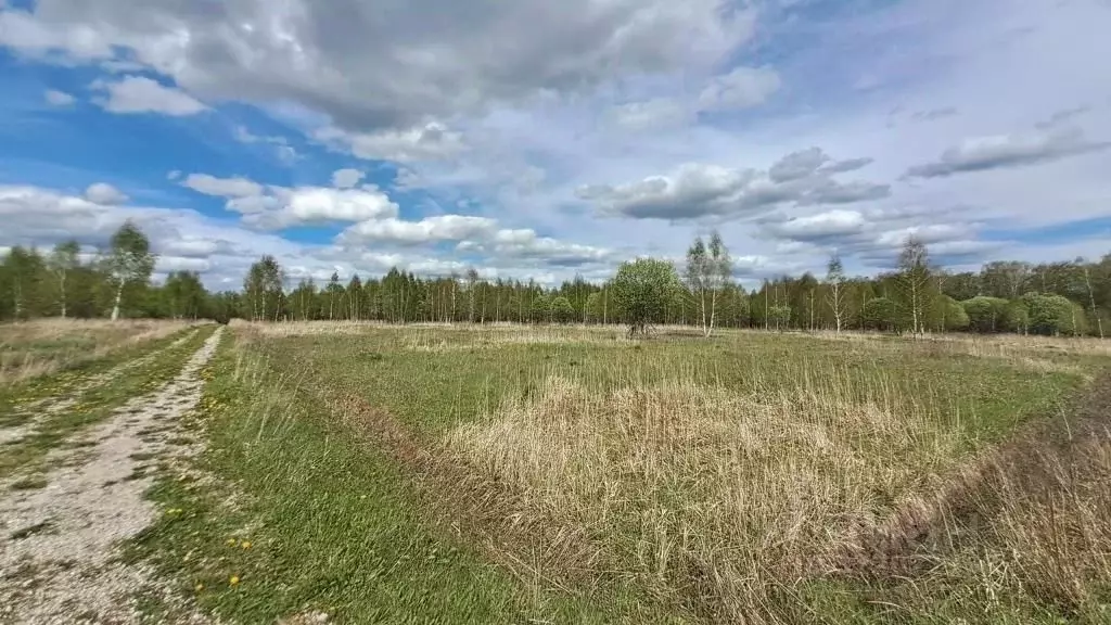Участок в Тульская область, Заокский район, Демидовское с/пос, д. ... - Фото 1