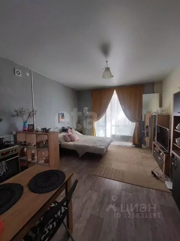 Студия Пермский край, Пермь ул. Борцов Революции, 1А (27.0 м) - Фото 2