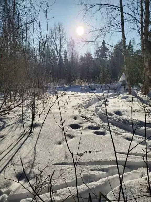 Участок в Пермский край, Пермь ул. Лянгасова, 67Б (5.0 сот.) - Фото 2