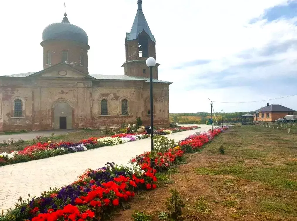 Участок в Оренбургская область, Оренбургский район, с. Черноречье ... - Фото 1