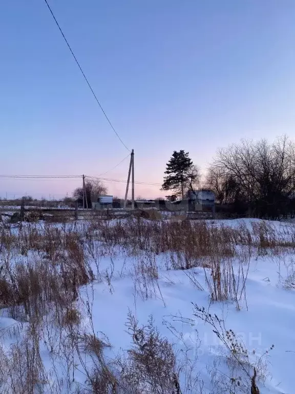 Дом в Амурская область, с. Ивановка ул. Восточная, 2 (29 м) - Фото 2