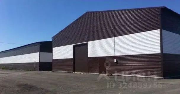 Склад в Ленинградская область, Тельмана Тосненский район, ул. ... - Фото 1