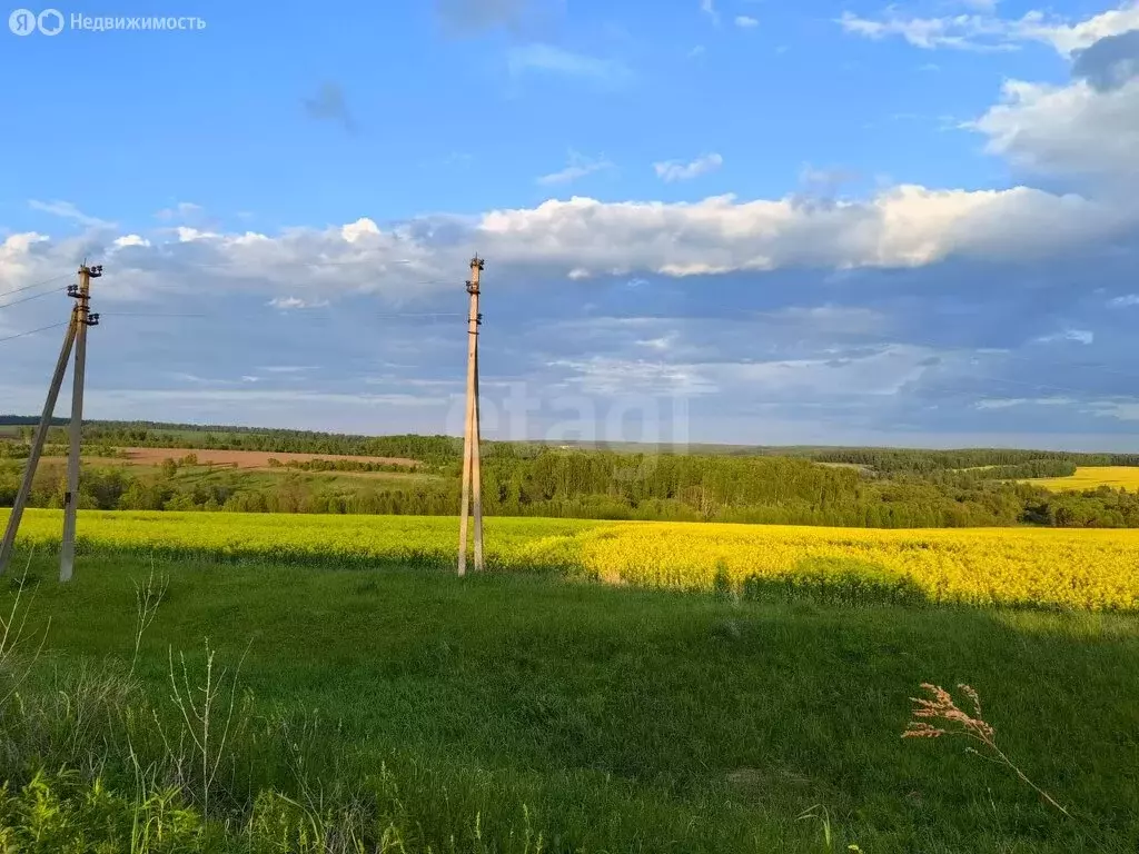 Участок в Тула, Центральный территориальный округ (25 м) - Фото 1